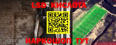 молекула духа Будённовск