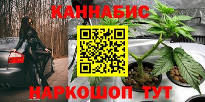 молекула духа Будённовск